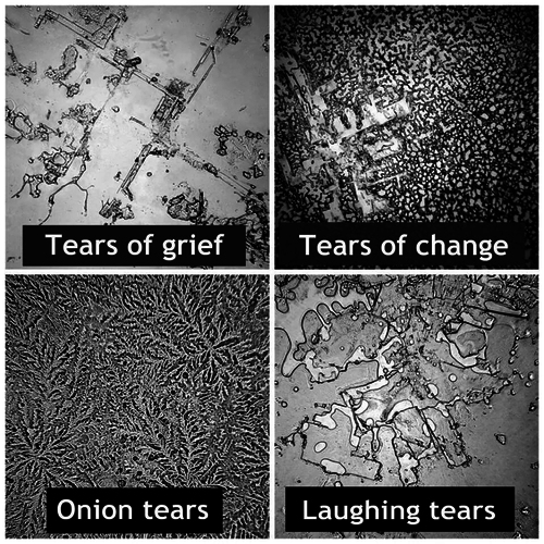 Tears vs Anger